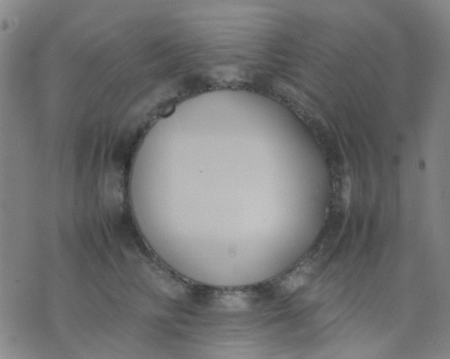 X0000074310710200609081942