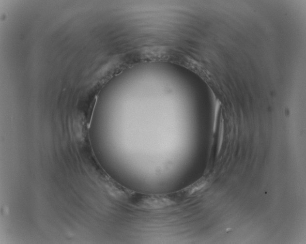 X0000074310712200609081942