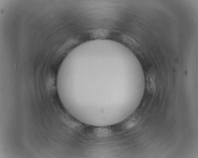 X0000074310714200609081942