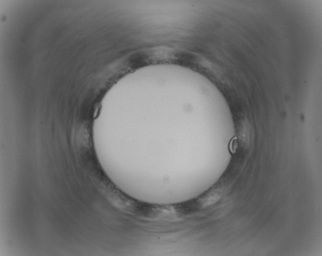 X0000074310715200609081942