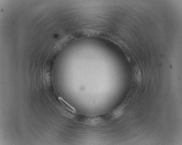 X0000074310716200609081942