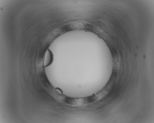 X0000074310717200609081942