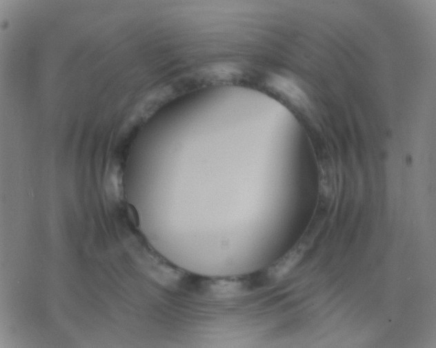 X0000074310718200609081942