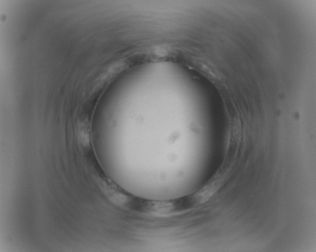 X0000074310719200609081942