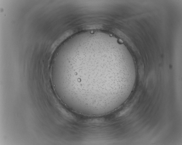 X0000074310721200609081941