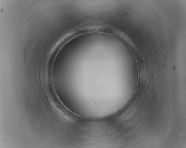 X0000074310722200609081941