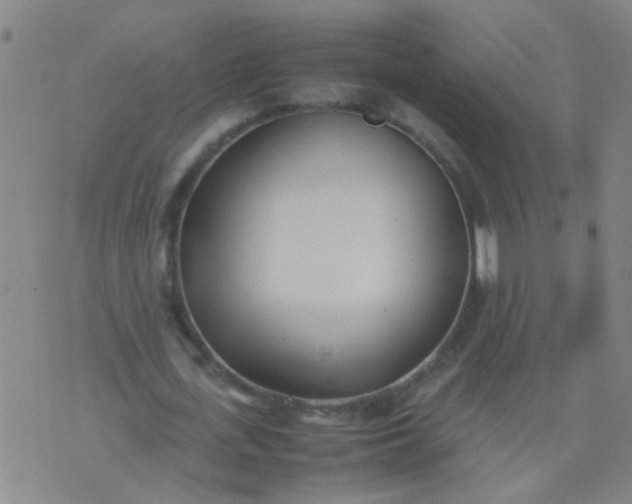 X0000074310723200609081941