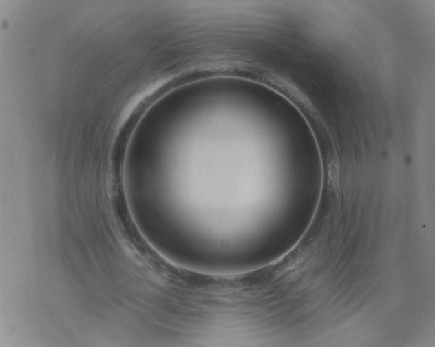 X0000074310724200609081941