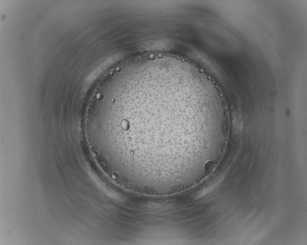 X0000074310725200609081941