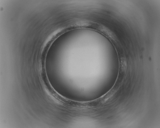 X0000074310726200609081941