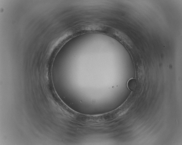 X0000074310727200609081941