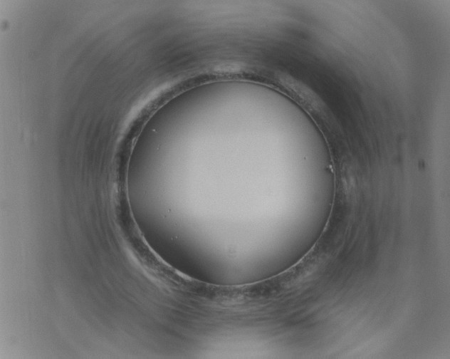 X0000074310728200609081941