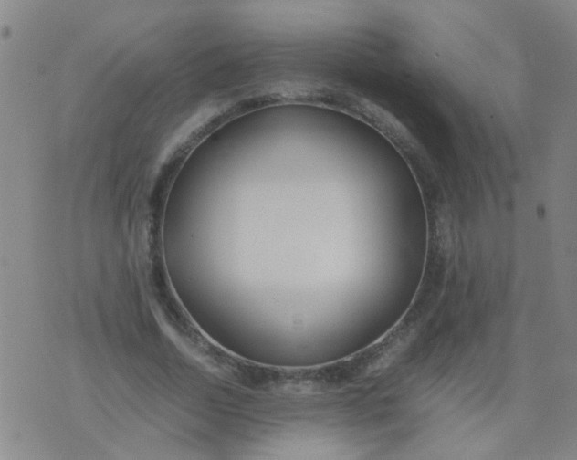 X0000074310730200609081941