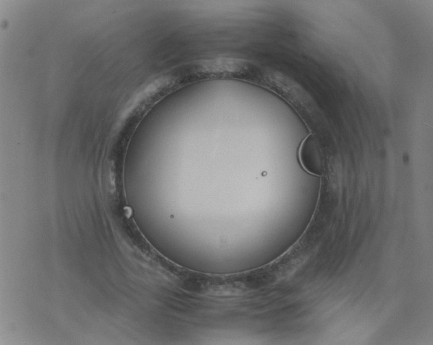 X0000074310731200609081941