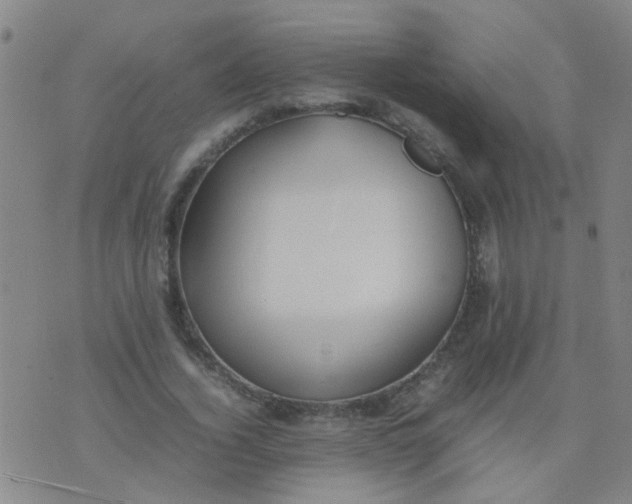 X0000074310732200609081941