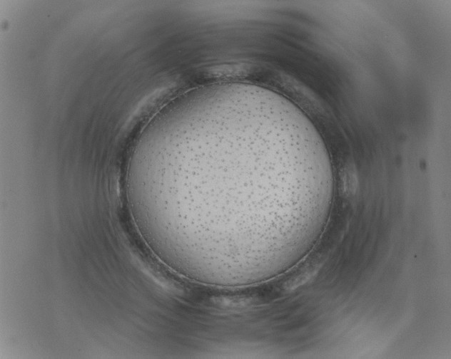 X0000074310733200609081941