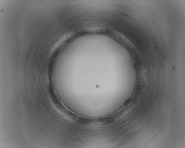 X0000074310734200609081941