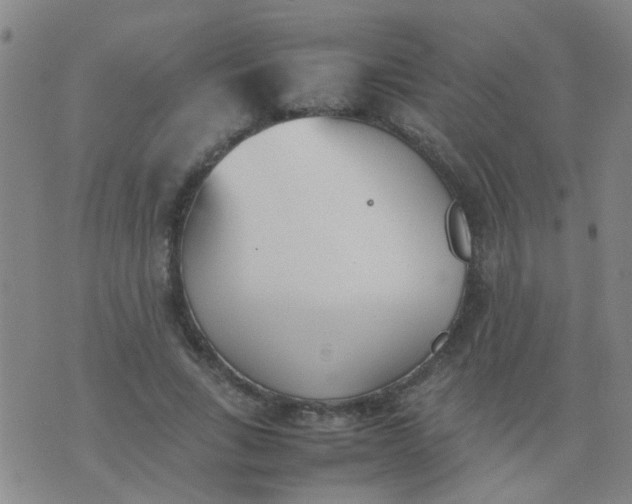 X0000074310735200609081941