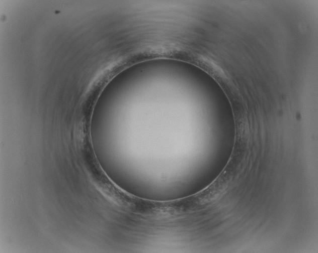 X0000074310736200609081941