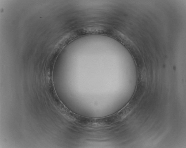 X0000074310737200609081941