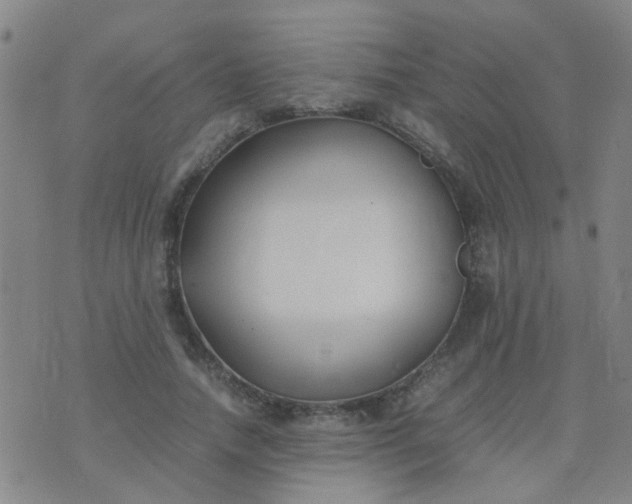 X0000074310738200609081941