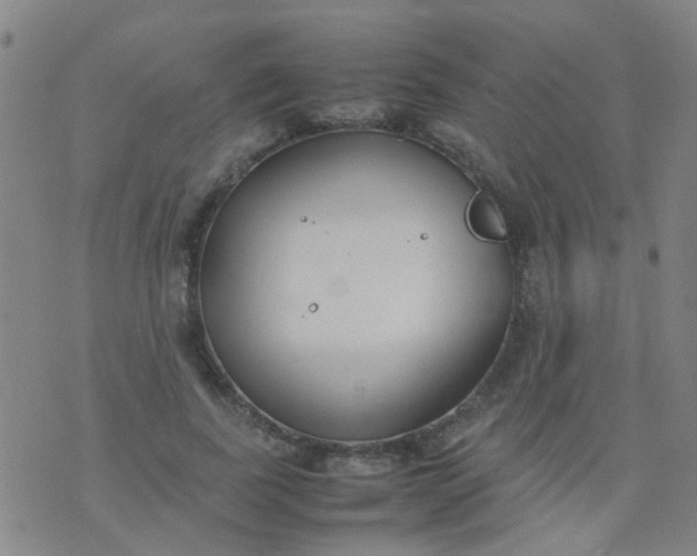 X0000074310739200609081941