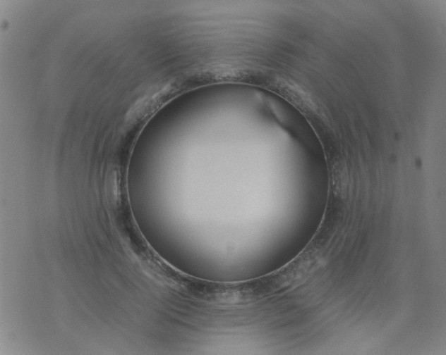 X0000074310740200609081941