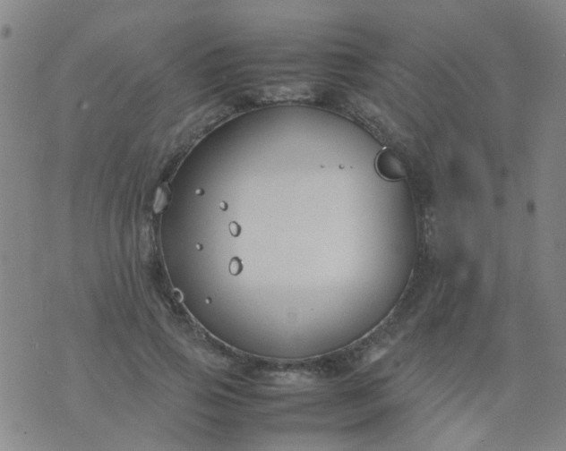 X0000074310741200609081942