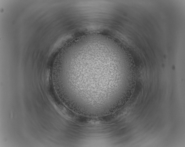 X0000074310742200609081942