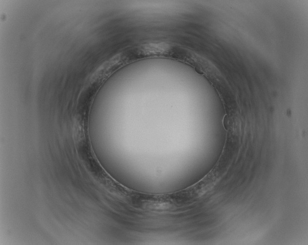 X0000074310743200609081942