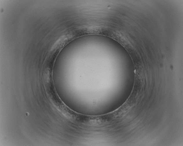 X0000074310744200609081942