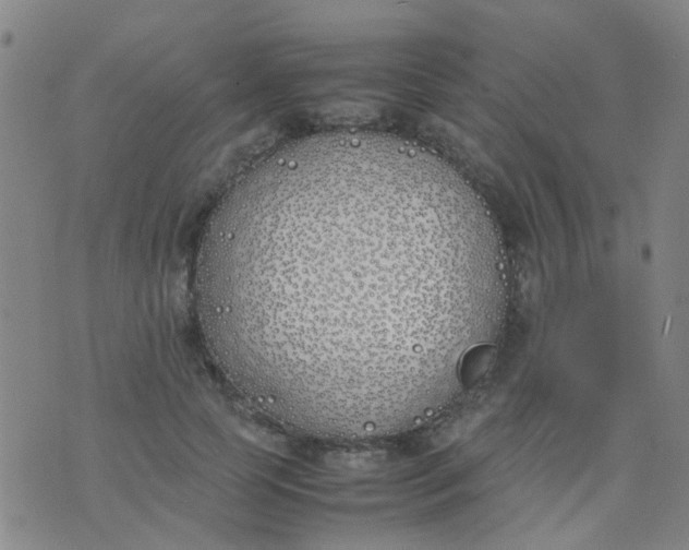 X0000074310745200609081942