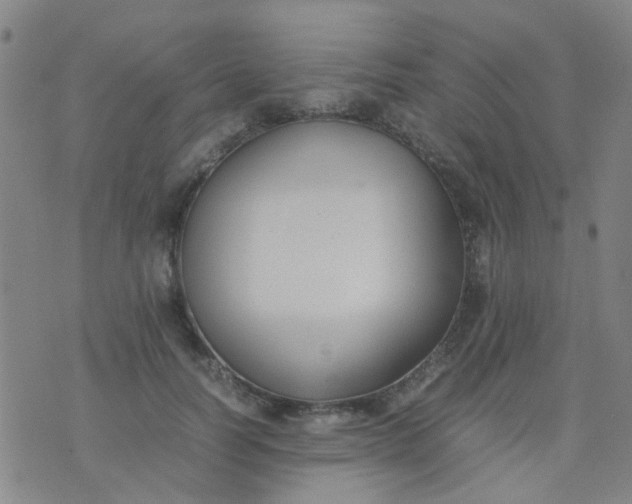 X0000074310746200609081942