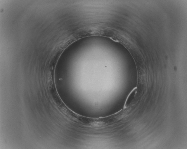 X0000074310748200609081942