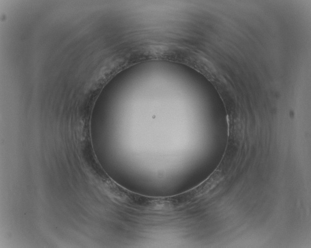 X0000074310750200609081942