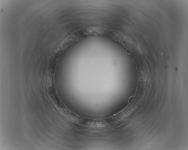 X0000074310751200609081942