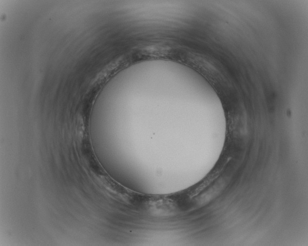 X0000074310752200609081942