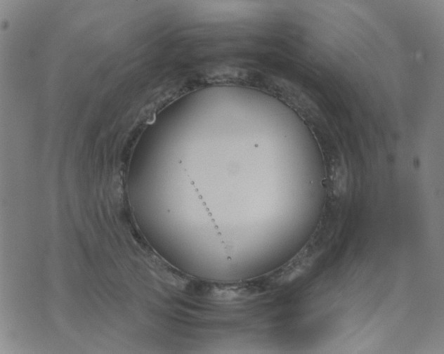 X0000074310753200609081942