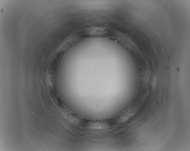 X0000074310755200609081942