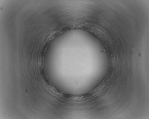 X0000074310756200609081942