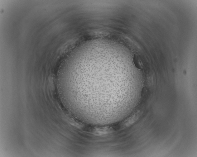 X0000074310757200609081942