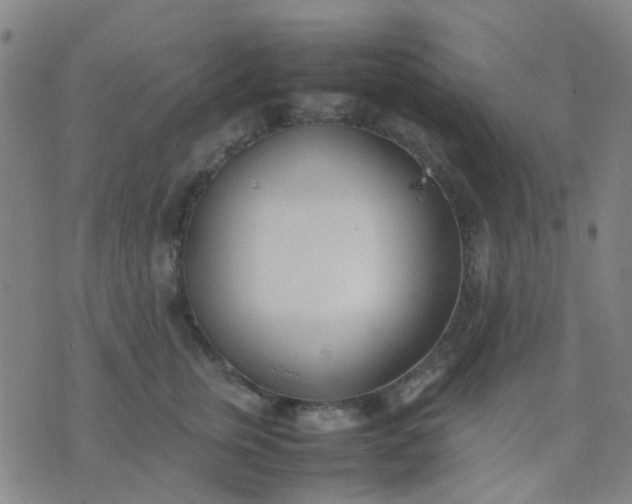 X0000074310759200609081942