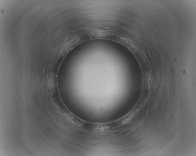 X0000074310760200609081942