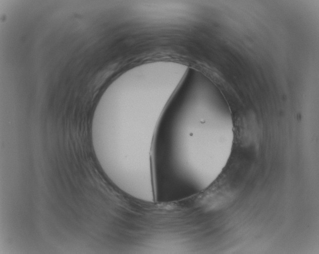 X0000074310762200609081942