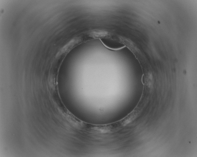 X0000074310763200609081942