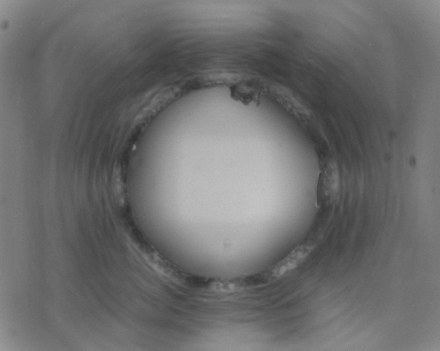 X0000074310764200609081942