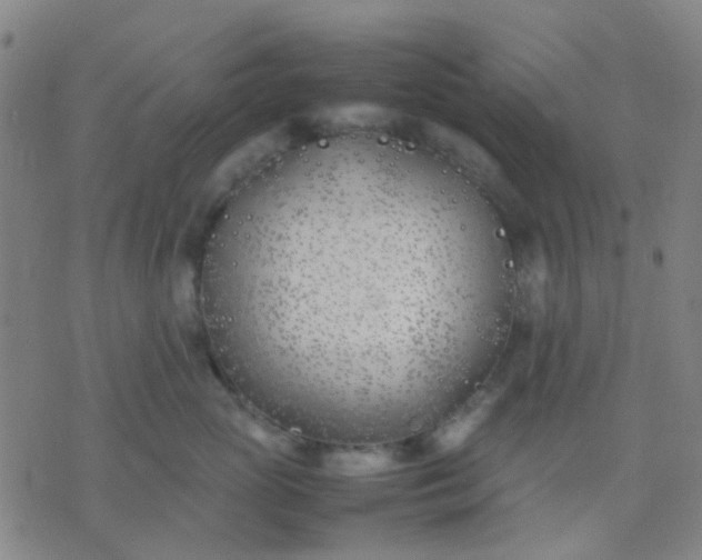 X0000074310765200609081942