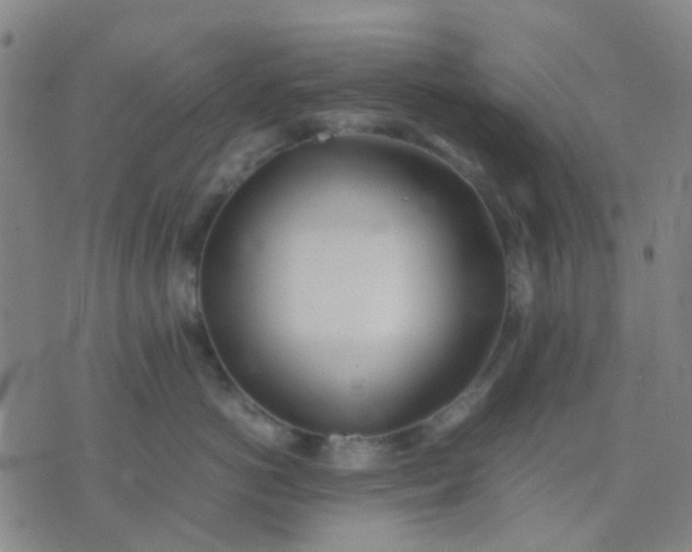 X0000074310766200609081942