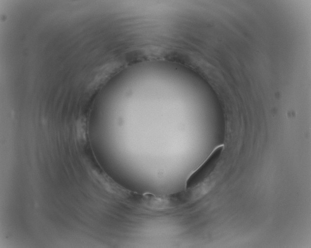 X0000074310768200609081942