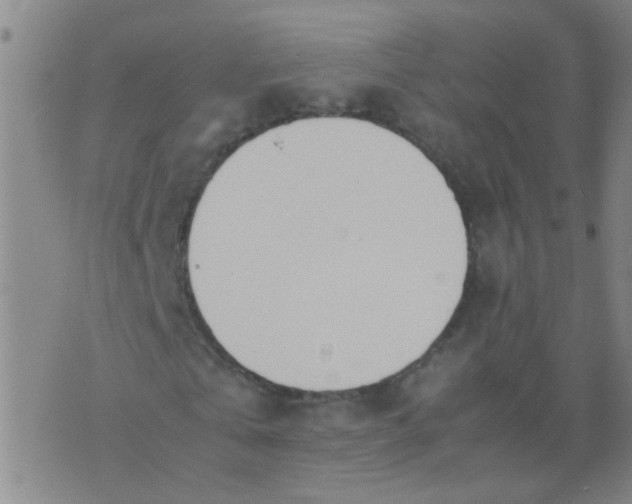 X0000074310769200609081941